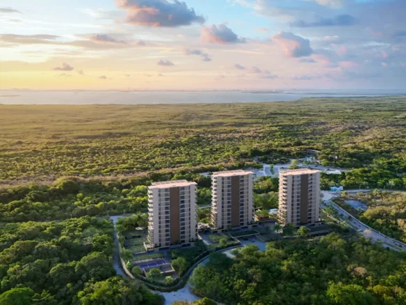 zenit exteriors 2a031125